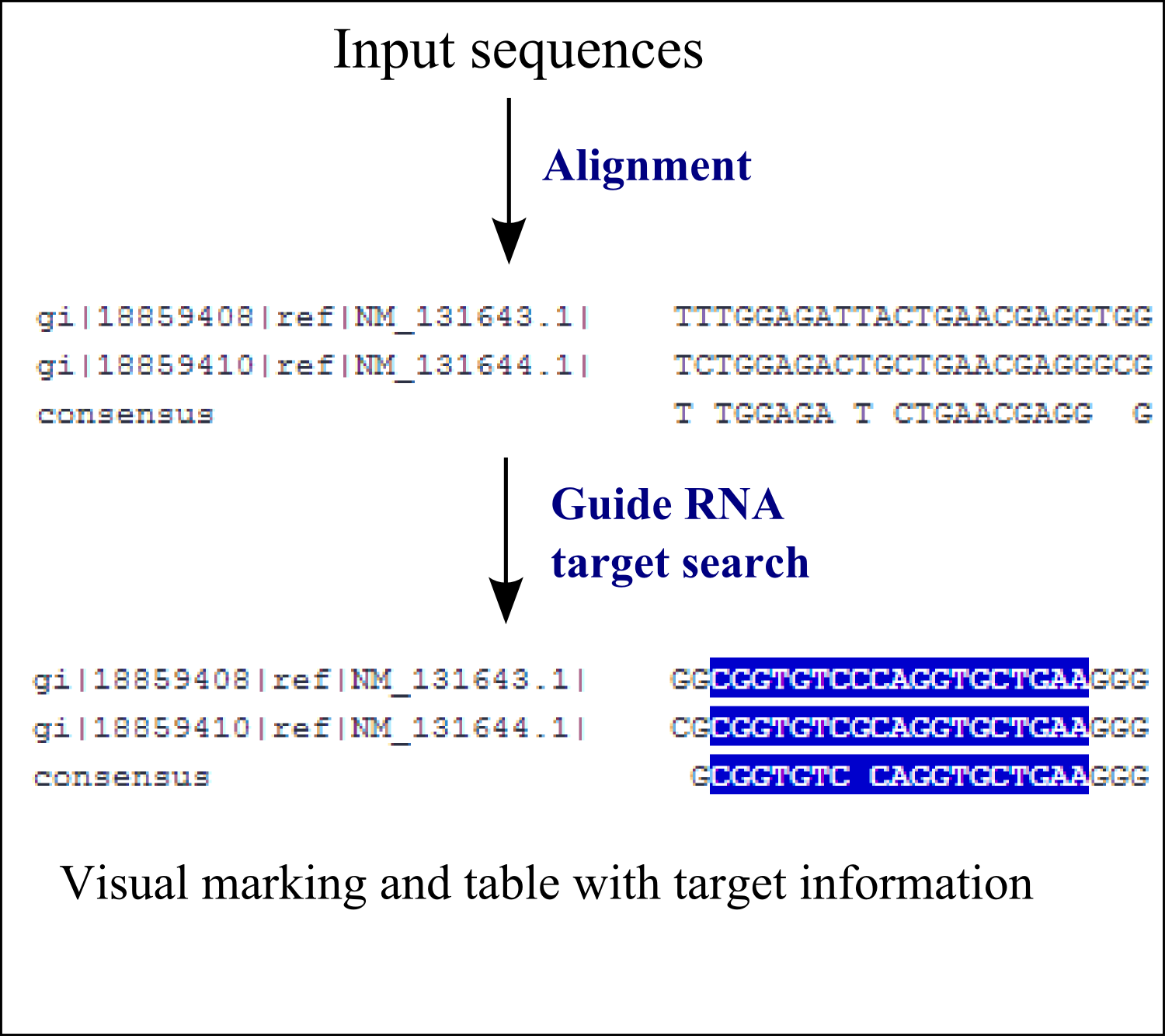 CRISPR search in a multiple sequence alignment