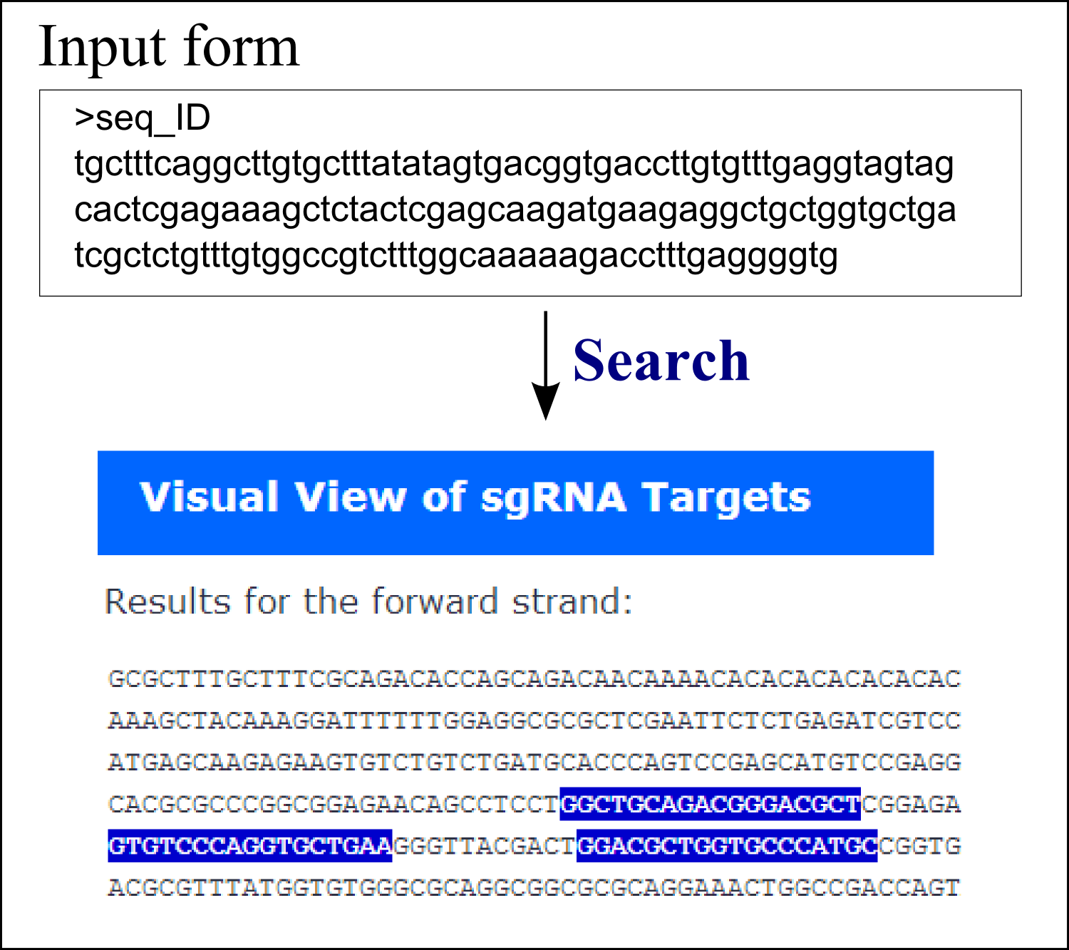 CRISPR search in an input sequence