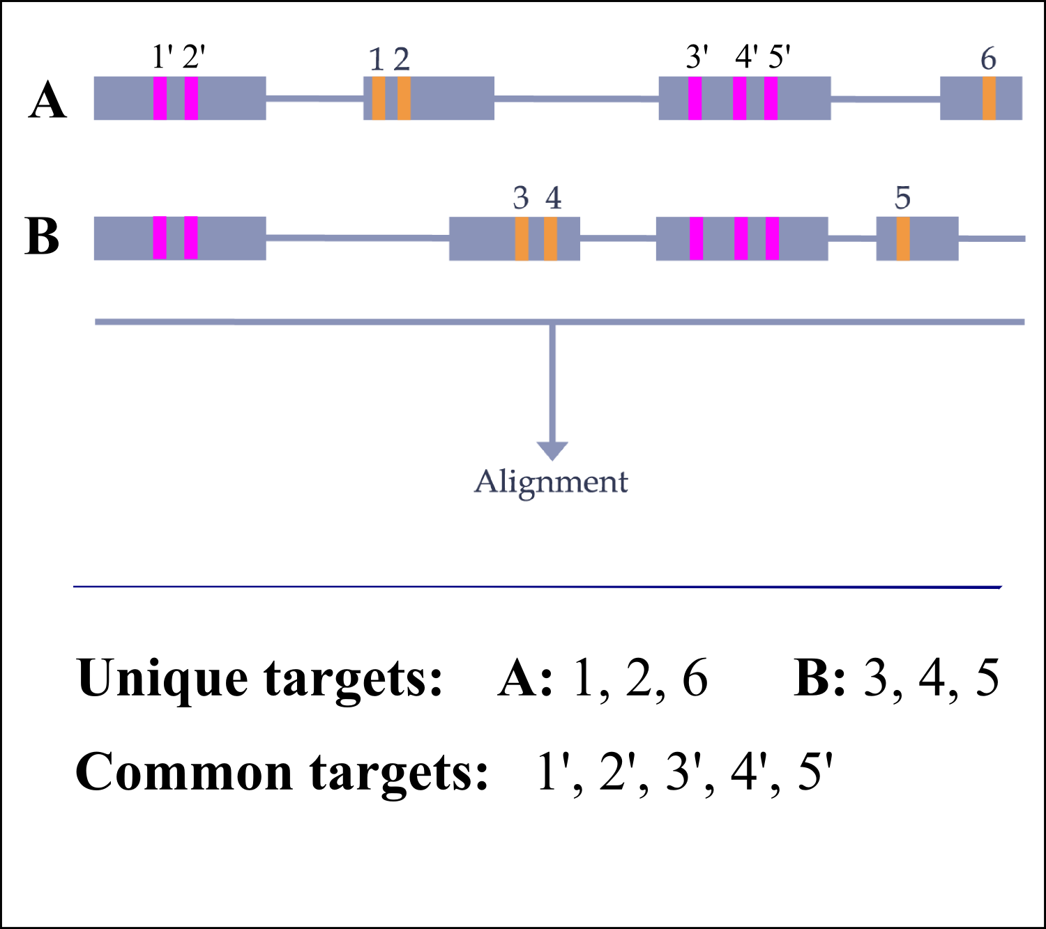 Input genes for specific CRISPRs